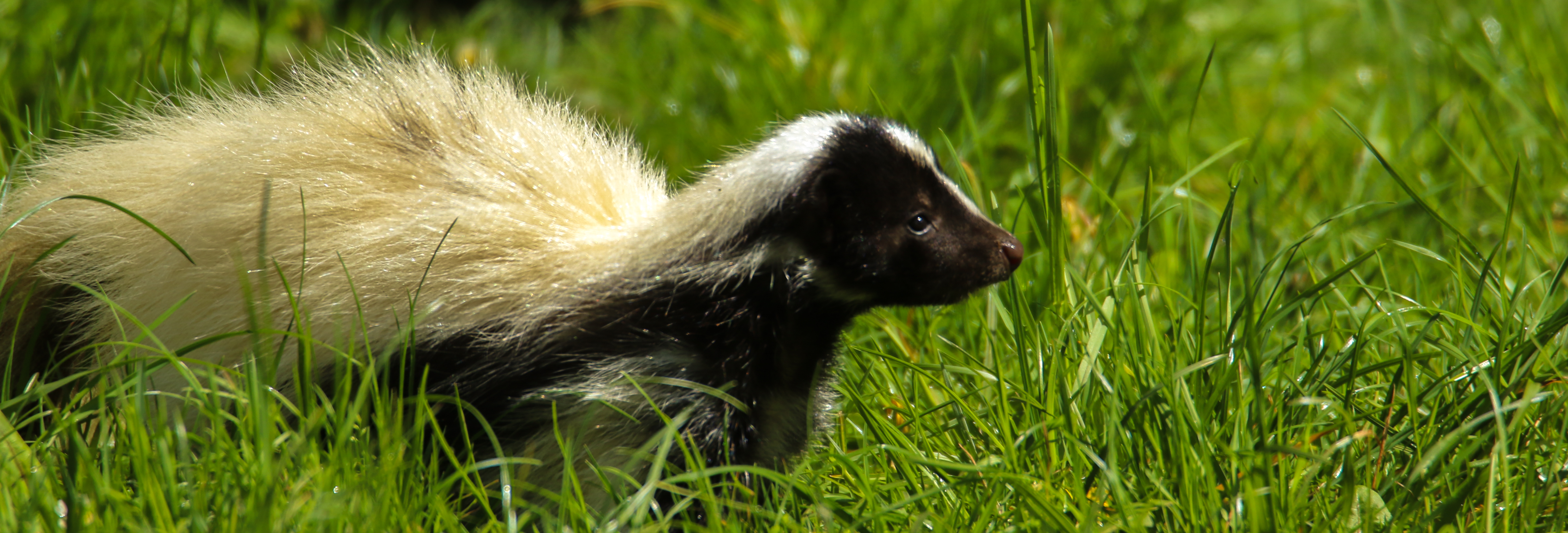 Ausflugsziel: Tierpark Gettorf