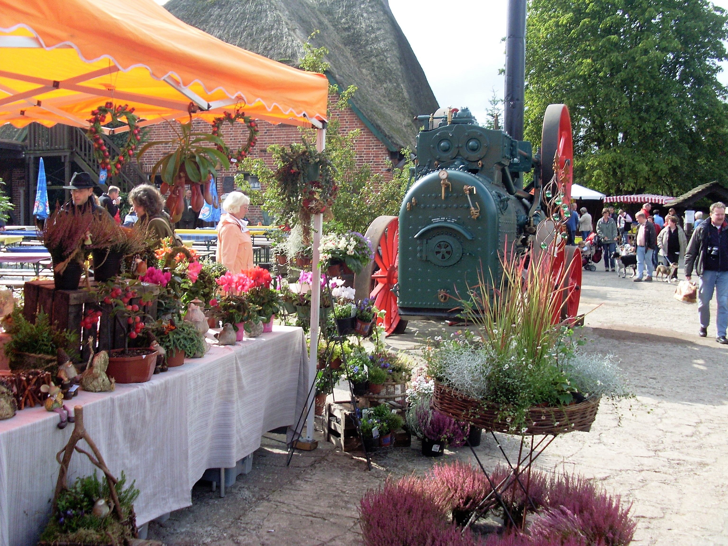 Ausflugsziel: Museumshof Lensahn