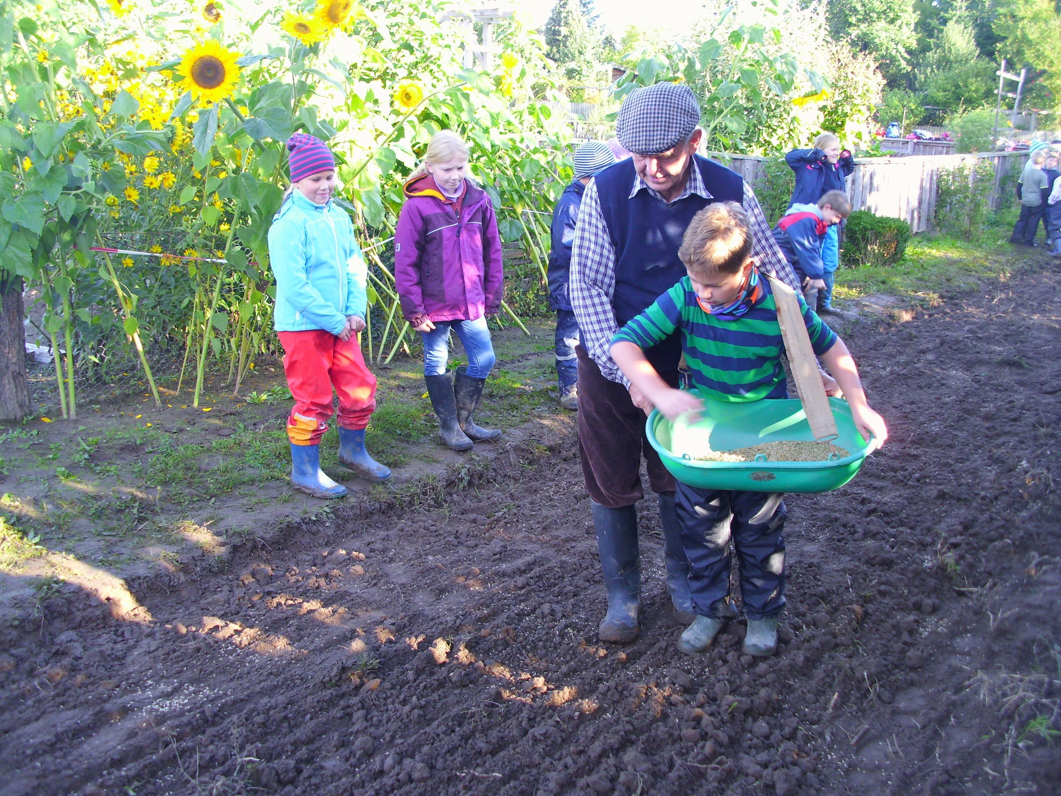 Ausflugsziel: Museumshof Lensahn