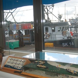 Ausflugsziel: Blick aus dem Infopavillon auf einen Fischkutter im Hafen - Infopavillon Fischereimuseum Heikendorf