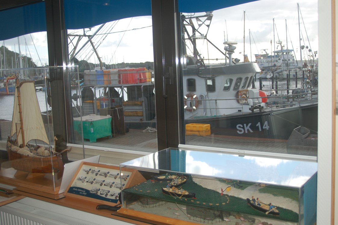 Ausflugsziel: Blick aus dem Infopavillon auf einen Fischkutter im Hafen - Infopavillon Fischereimuseum Heikendorf