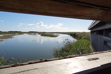 Ausflugsziel: Beobachtungsversteck - NABU-Wasservogelreservat Wallnau