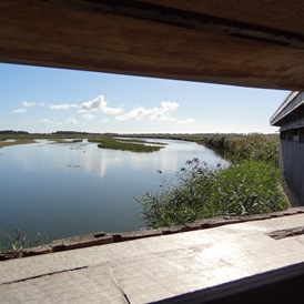 Ausflugsziel: Beobachtungsversteck - NABU-Wasservogelreservat Wallnau