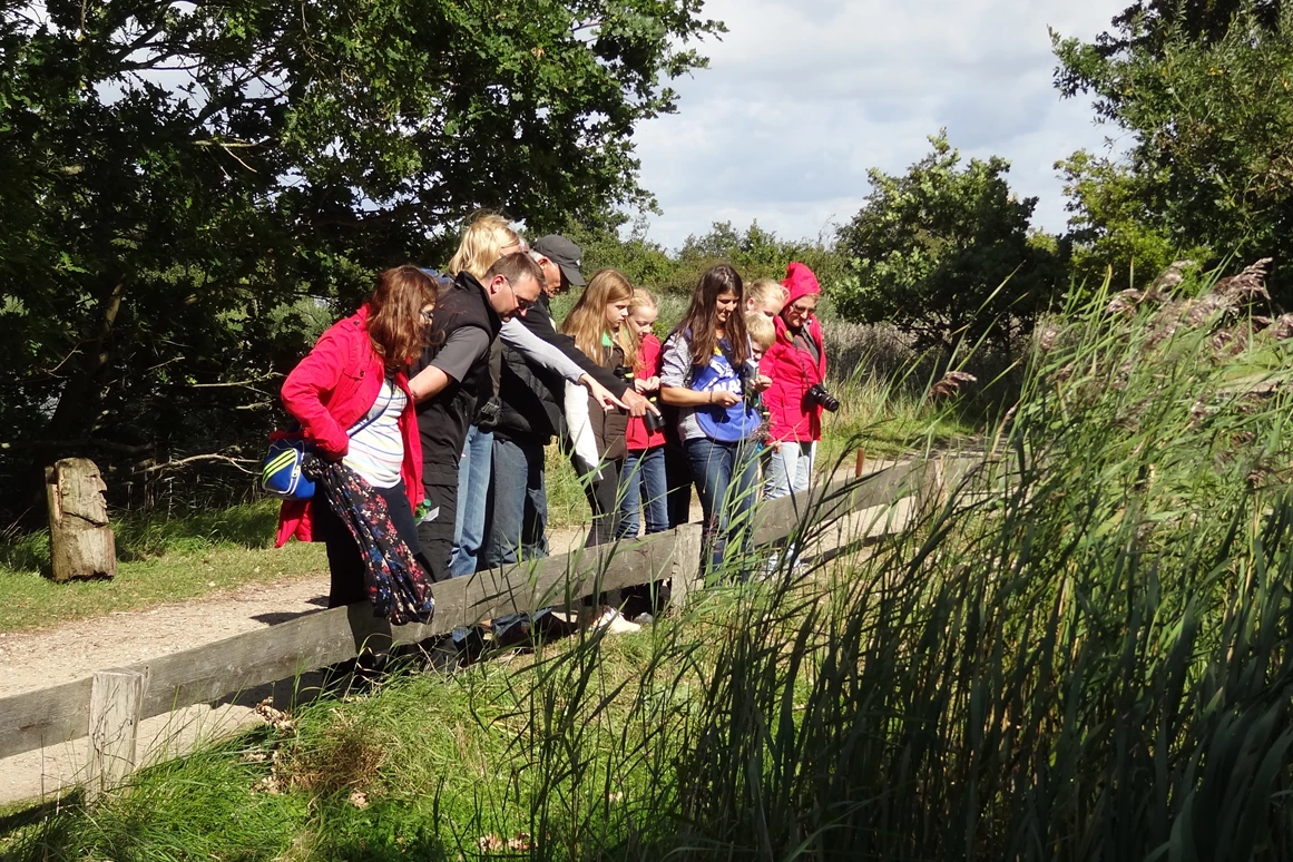 Ausflugsziel: Besucherführung - NABU-Wasservogelreservat Wallnau
