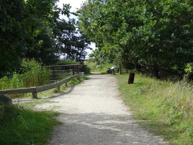 Ausflugsziel: Natur- und Erlebnispfad - NABU-Wasservogelreservat Wallnau