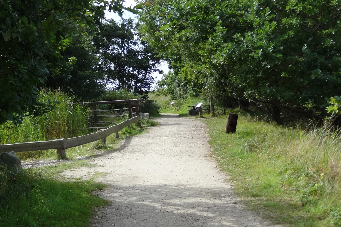 Ausflugsziel: Natur- und Erlebnispfad - NABU-Wasservogelreservat Wallnau