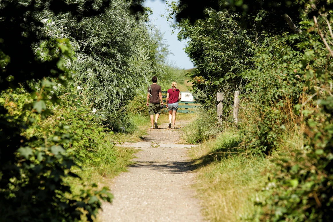 Ausflugsziel: NABU-Wasservogelreservat Wallnau