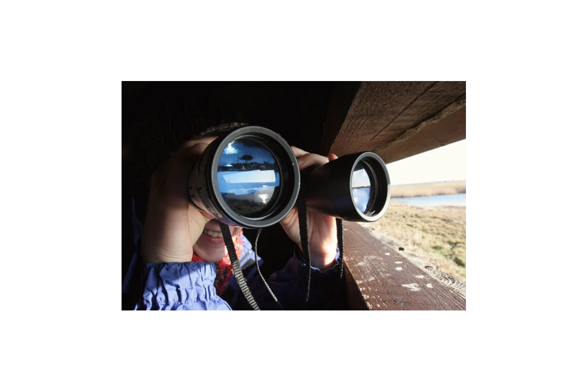 Ausflugsziel: NABU-Wasservogelreservat Wallnau