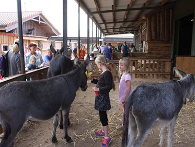 Ausflugsziel: Esel- & Landspielhof Nessendorf