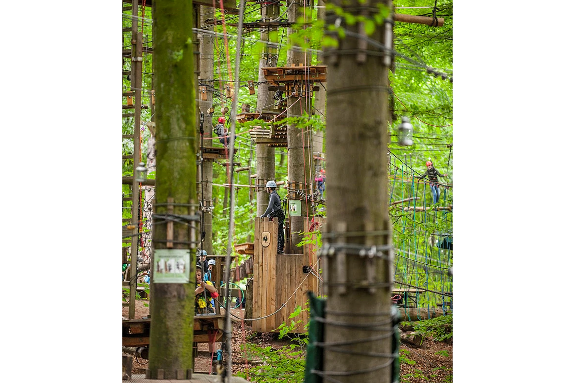 Ausflugsziel: Hochseilgarten Altenhof