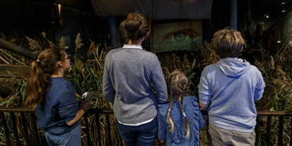 Ausflug mit Kindern - Todesfelde - Europäisches Hansemuseum