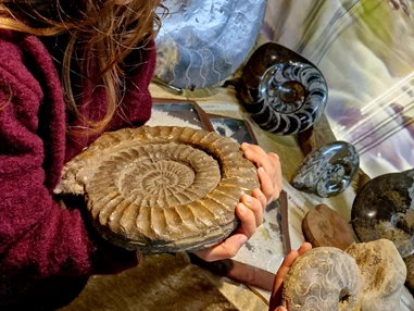 Ausflugsziel: Urzeitmuseum Geotanium Gettorf