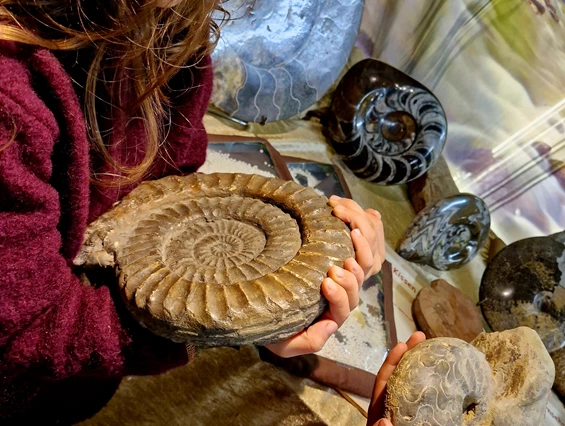 Ausflugsziel: Urzeitmuseum Geotanium Gettorf