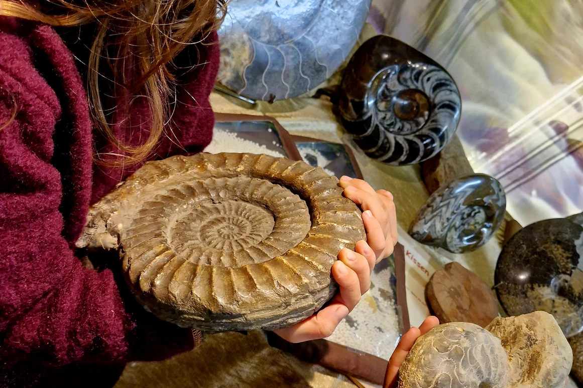 Ausflugsziel: Urzeitmuseum Geotanium Gettorf