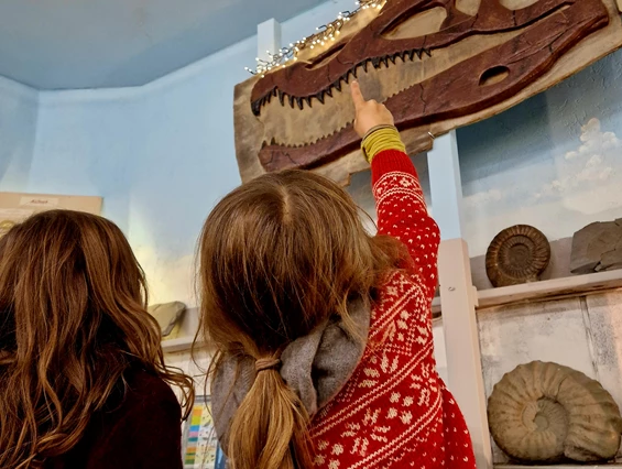 Ausflugsziel: Urzeitmuseum Geotanium Gettorf