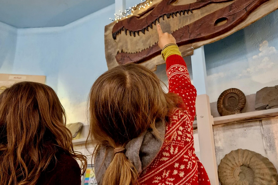Ausflugsziel: Urzeitmuseum Geotanium Gettorf