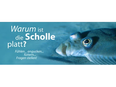 Ausflugsziel: Ostseestation Travemünde