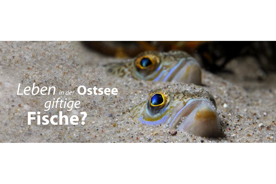 Ausflugsziel: Ostseestation Travemünde