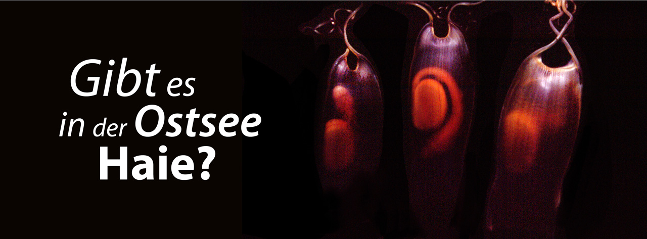 Ausflugsziel: Ostseestation Travemünde