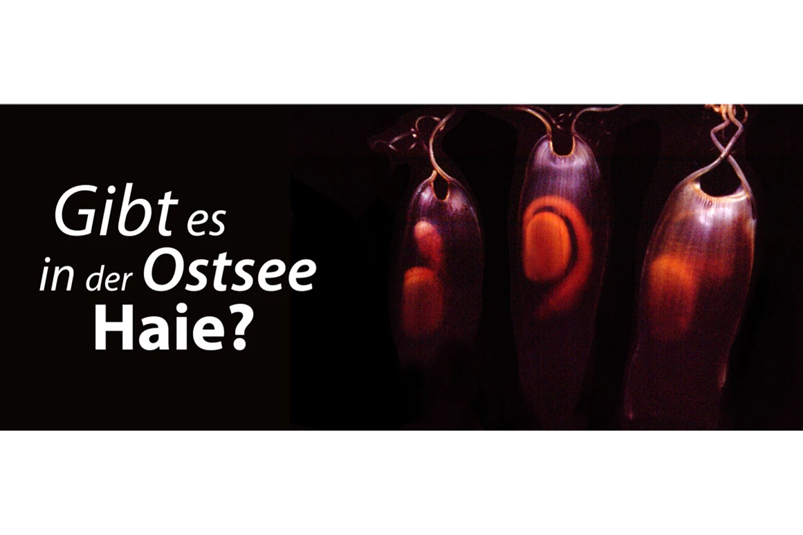 Ausflugsziel: Ostseestation Travemünde