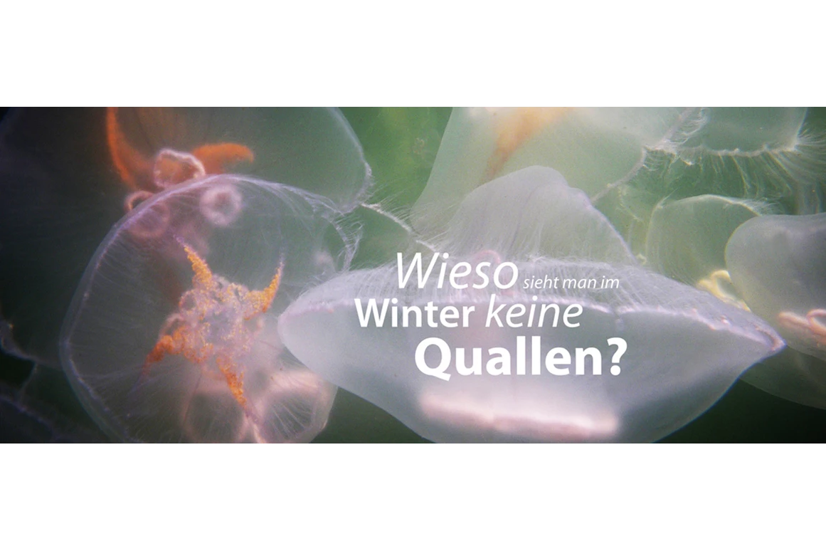 Ausflugsziel: Ostseestation Travemünde