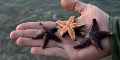 Voyage avec des enfants - erreichbar mit: Schiff - Ostseestation Travemünde
