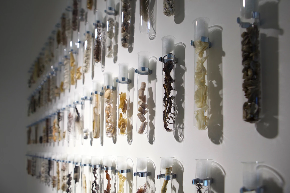 Ausflugsziel: Ostseestation Travemünde