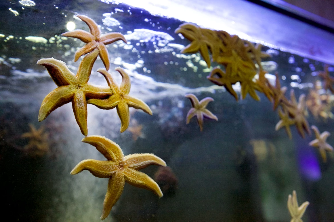 Ausflugsziel: Ostseestation Travemünde