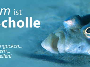 Ausflugsziel: Ostseestation Travemünde