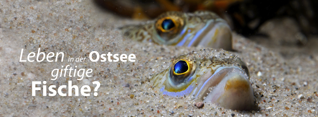 Ausflugsziel: Ostseestation Travemünde