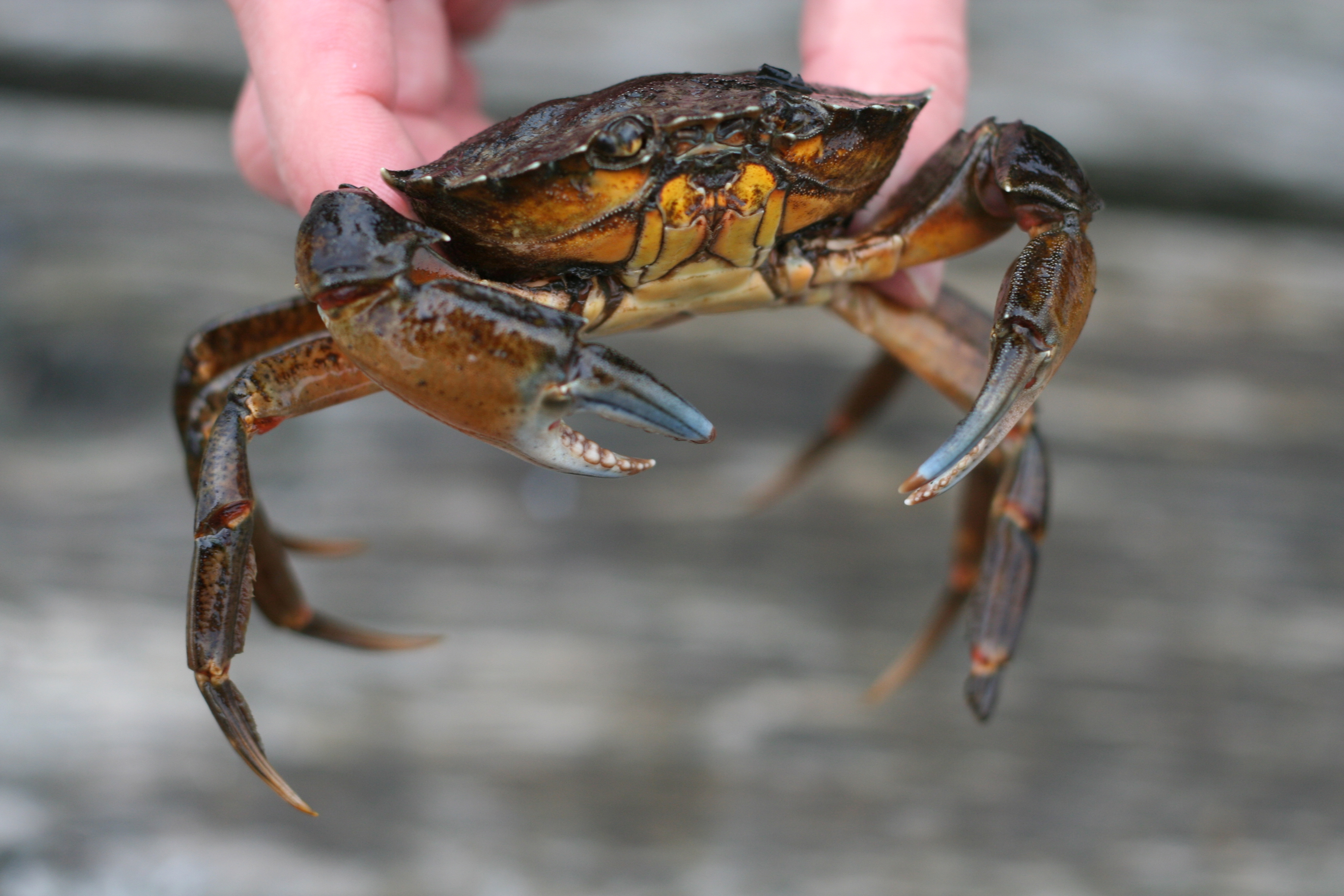 Ausflugsziel: Ostseestation Travemünde