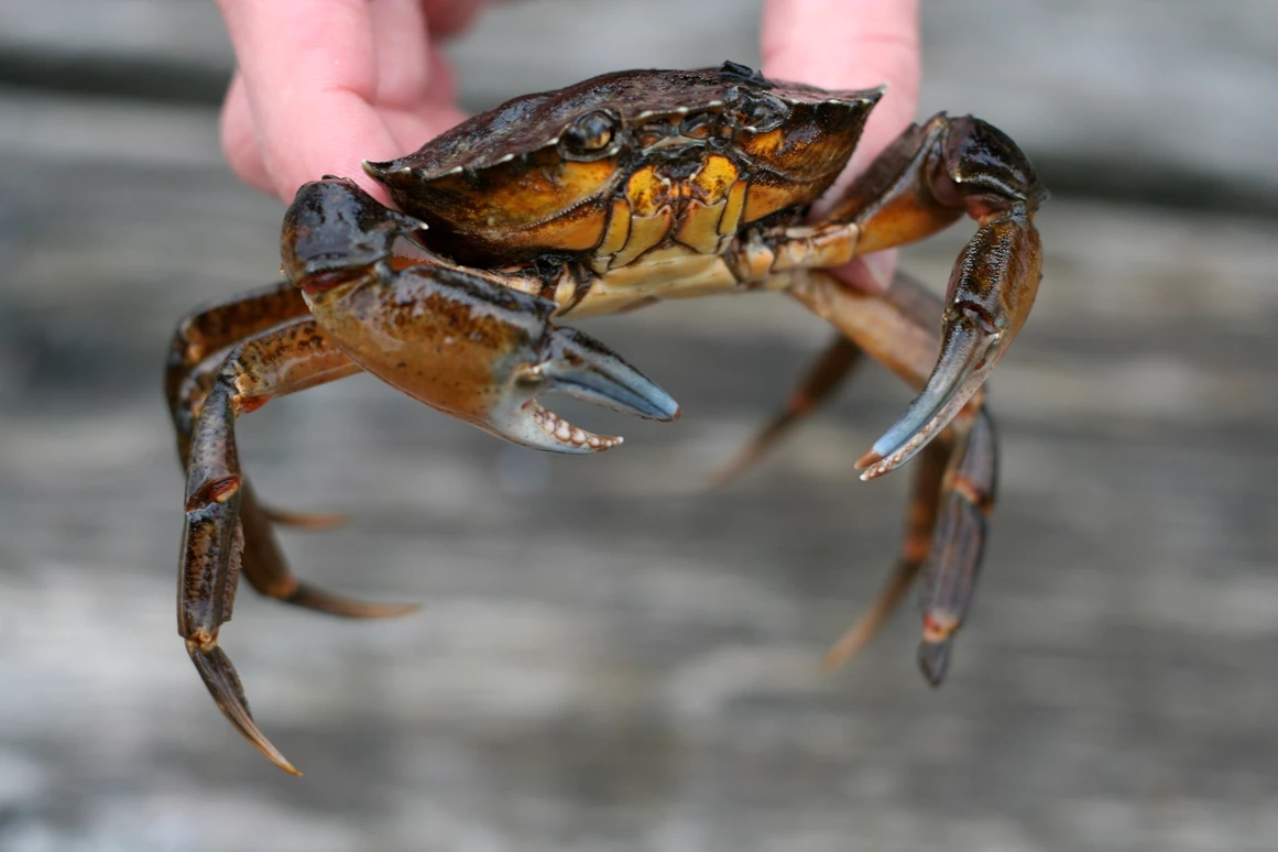 Ausflugsziel: Ostseestation Travemünde