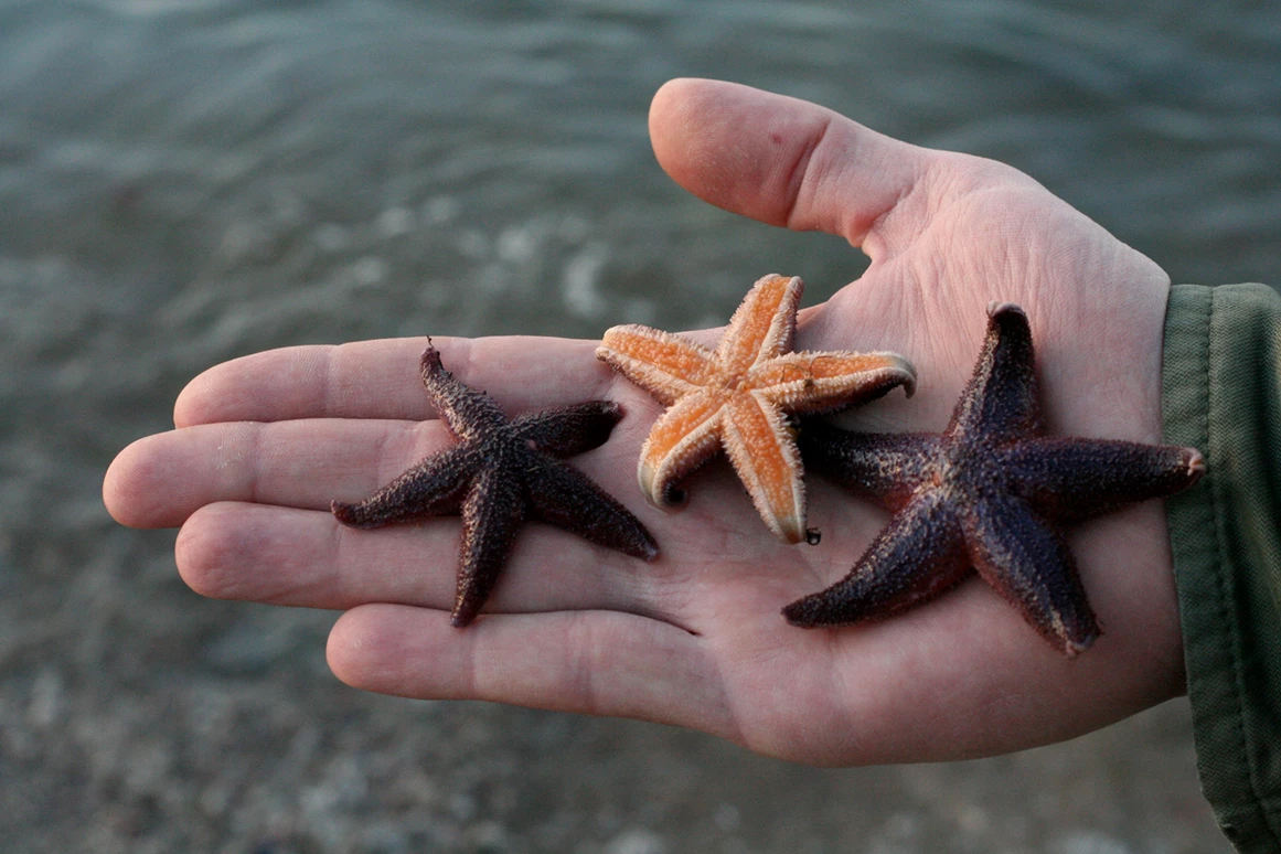 Ausflugsziel: Ostseestation Travemünde
