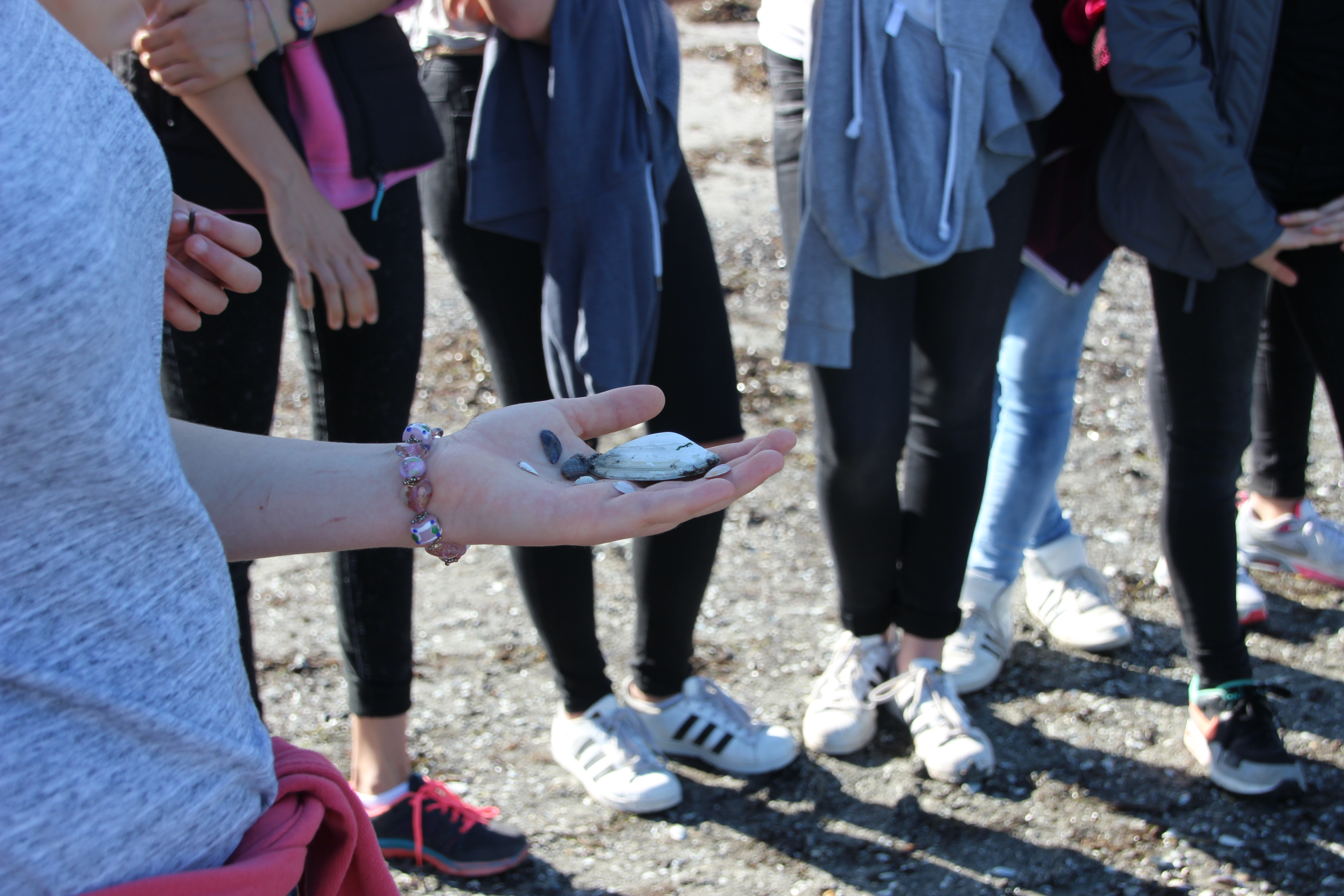 Ausflugsziel: Naturwerkstatt Priwall