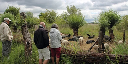 Viaggio con bambini - Hohwacht - Naturwerkstatt Priwall