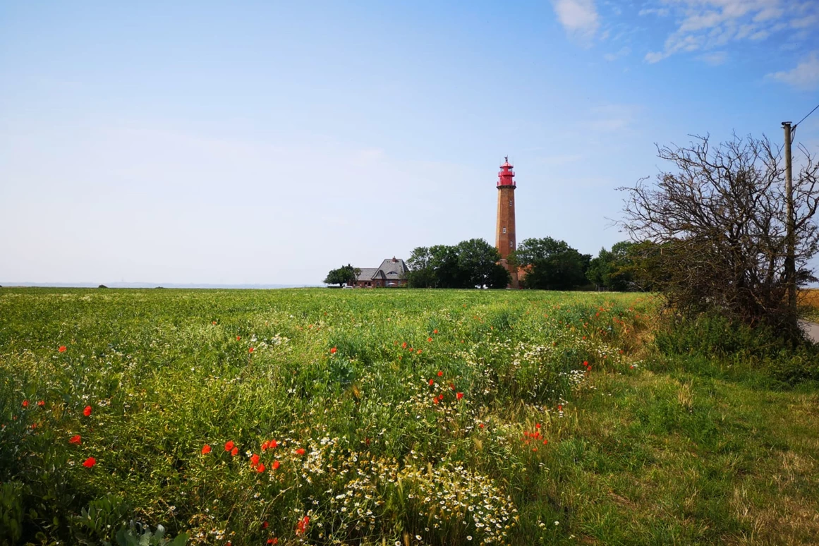 Ausflugsziel: © Lina Rotte - Leuchtturm Flügge auf Fehmarn