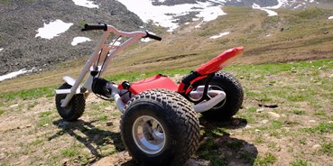 Ausflug mit Kindern - Themenschwerpunkt: Action - Trentino-Südtirol - Mountaincarts Lazaun