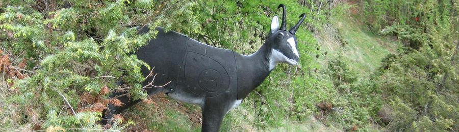 Viaggio con bambini - Alter der Kinder: Jugendliche - Italia - Bogenschießen am Moarhof