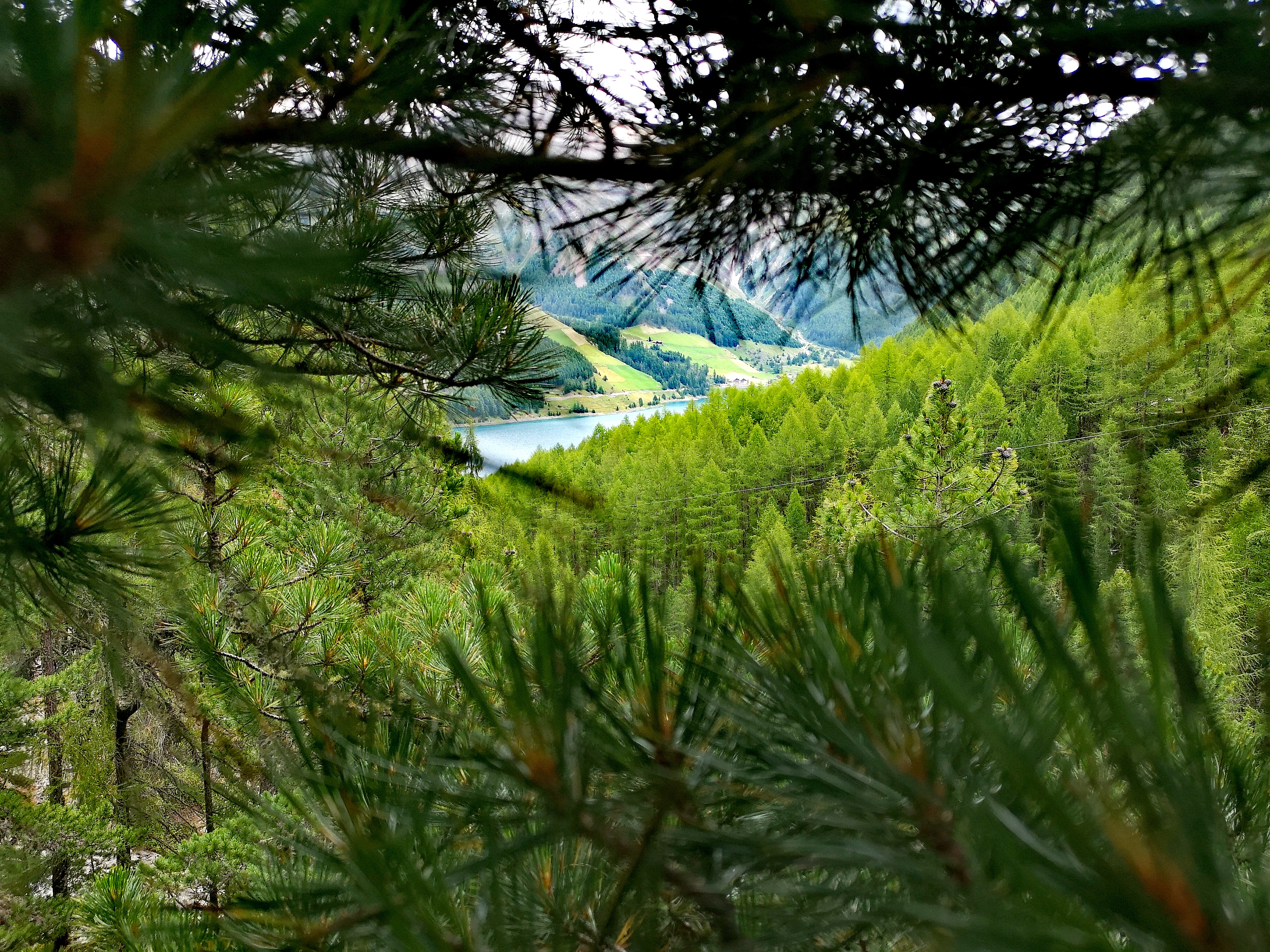 Ausflugsziel: Aussicht auf den See - Hochseilgarten Ötzi Rope-Park