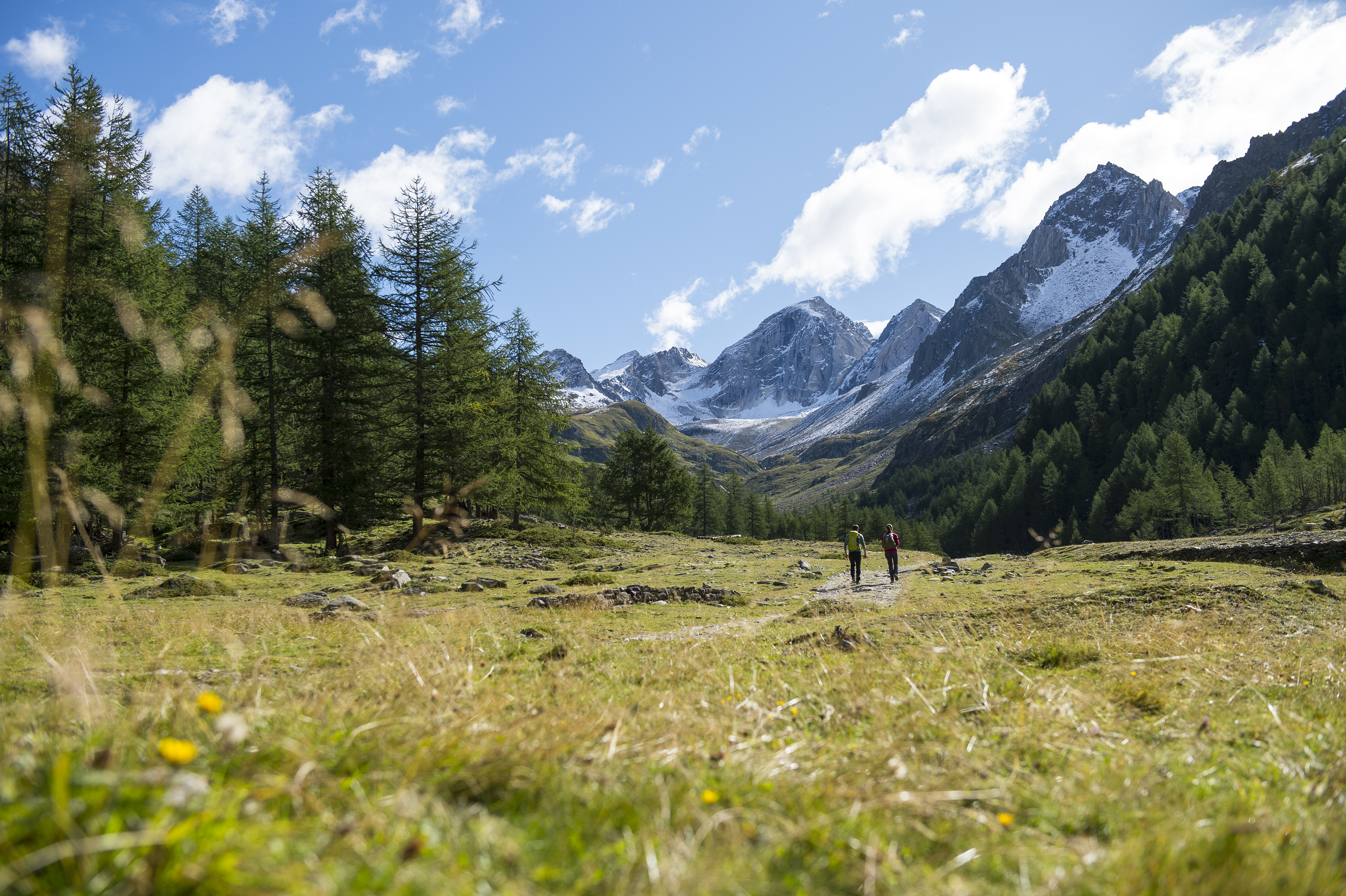 Ausflugsziel: Almerlebnisweg Pfossental