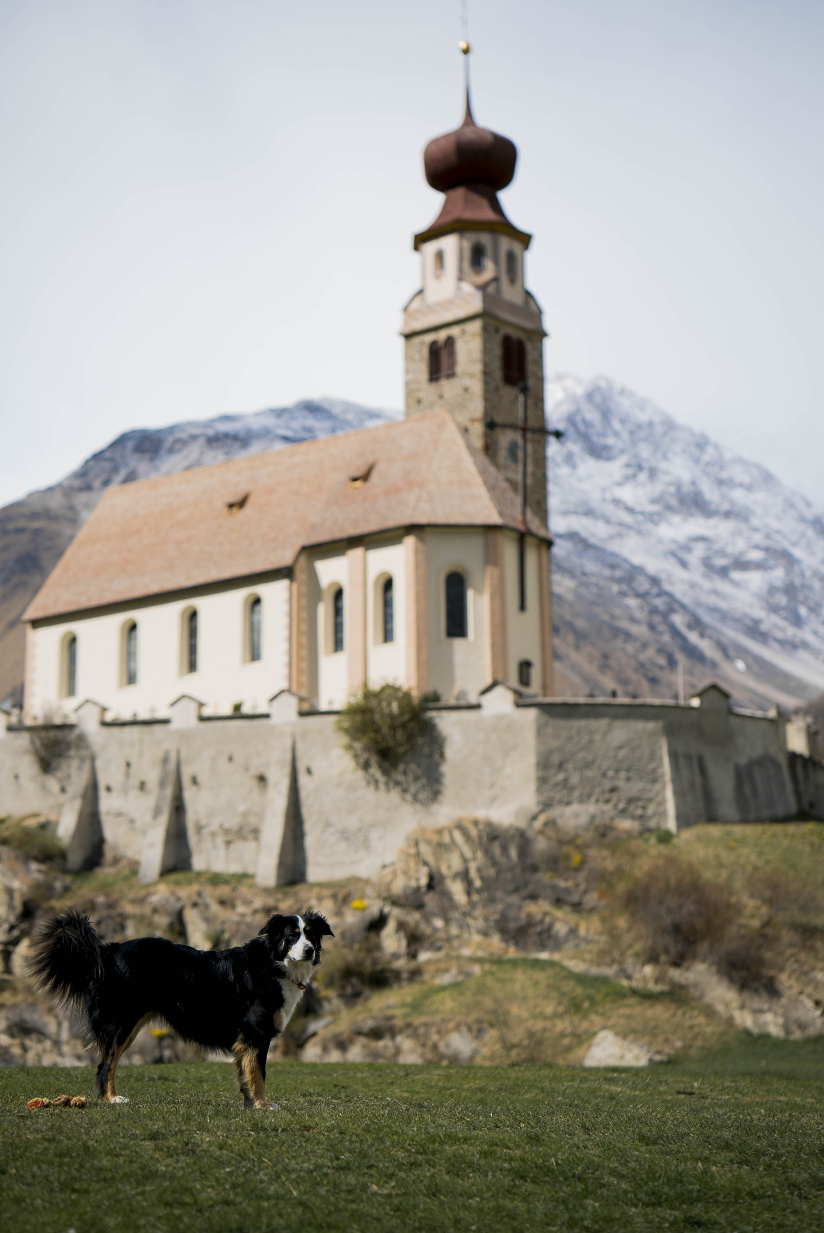 Arche und Biobauernhof Oberniederhof Ausflugsziel Tipp in