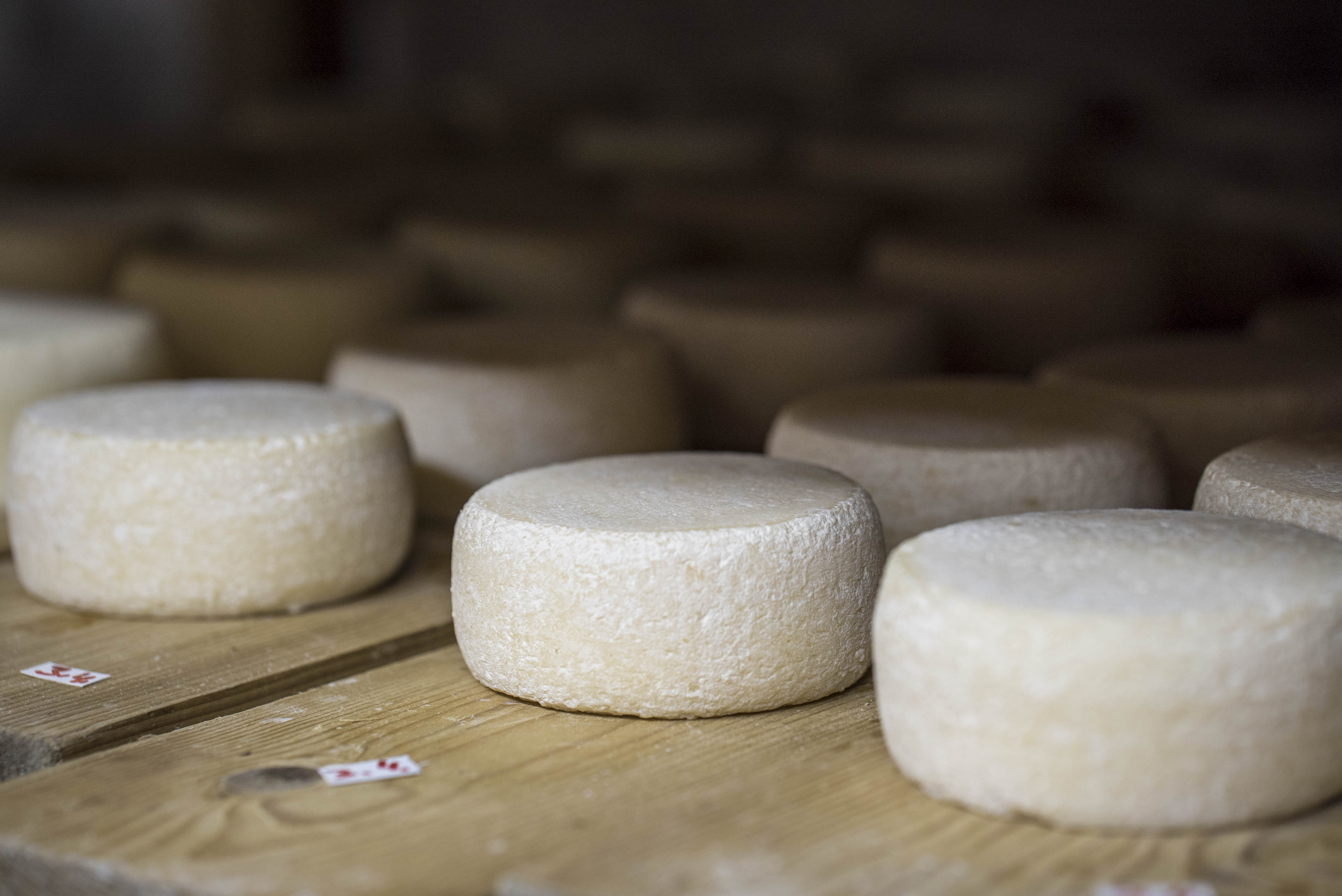 Ausflugsziel: Arche- und Biobauernhof Oberniederhof