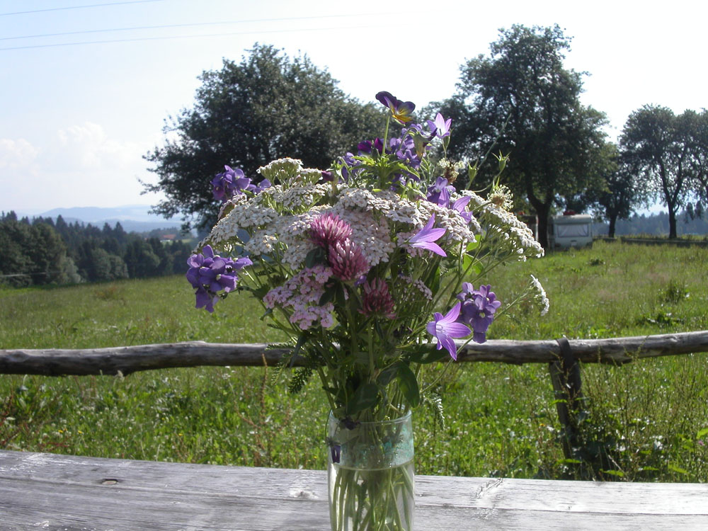 Ausflug mit Kindern - Oberndorf (Gurten) - Blick von der Jausenstation ins Mühlviertel - Fischteiche und Jausenstation Thomandl