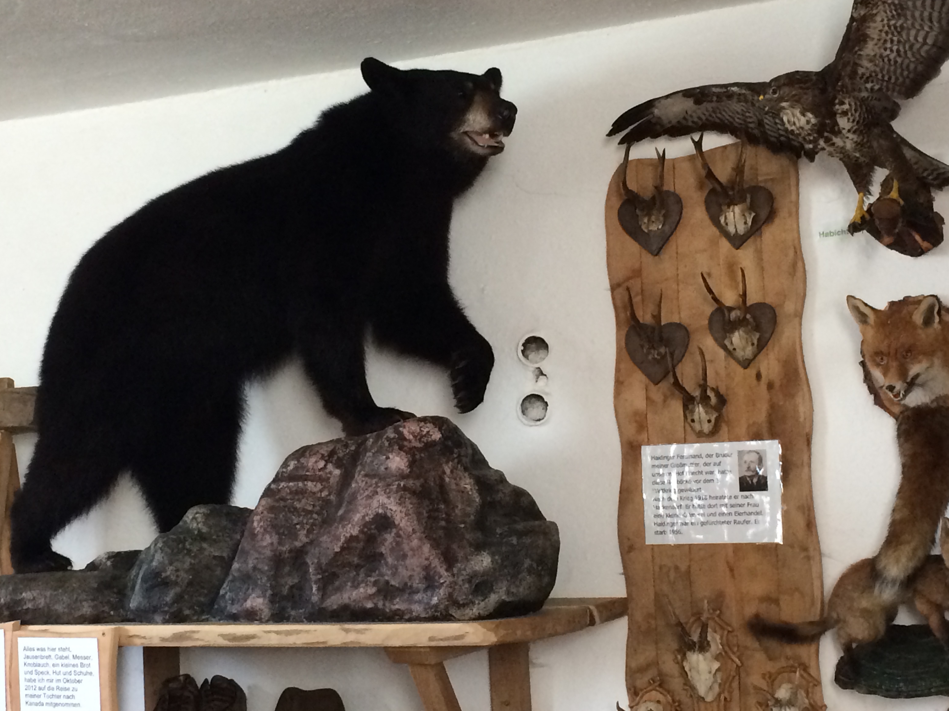 Ausflugsziel: Im Museum - Fischteiche und Jausenstation Thomandl