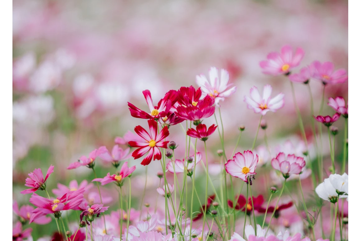 Ausflugsziel: Symbolbild für Ausflugsziel Naturmuseum St.Gallen . Keine korrekte oder ähnlich Darstellung! - Naturmuseum St.Gallen