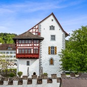 Ausflugsziel - Museum Burg Zug