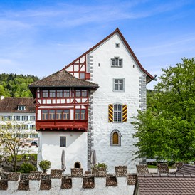 Ausflugsziel: Museum Burg Zug