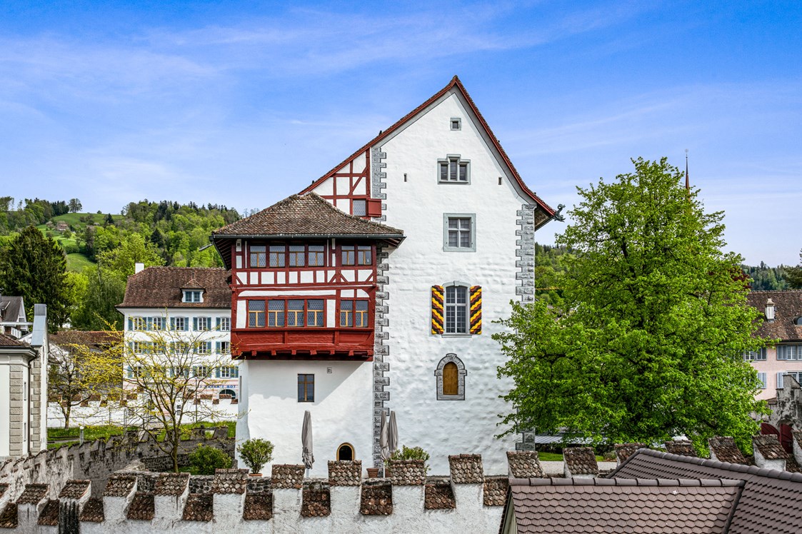 Ausflugsziel: Museum Burg Zug