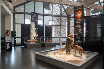 Ausflugsziel: Museum für Urgeschichte(n) Zug, Altsteinzeit und Mammutfunde. - Museum für Urgeschichte(n) Zug