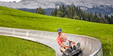 Ausflug mit Kindern - Luzern - Sommerrodelbahn Rischli